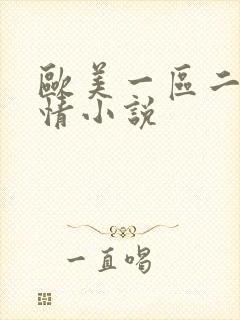 欧美一区二区激情小说封面