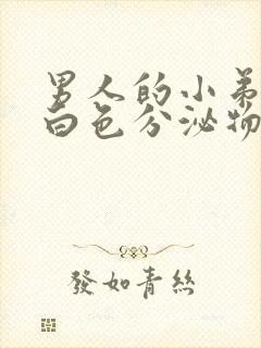 男人的小弟弟有白色分泌物