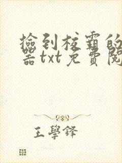 捡到校霸的遥控器txt免费阅读封面