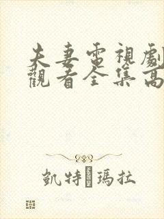 夫妻电视剧免费观看全集高清完整版下载