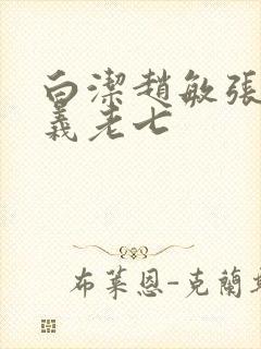 白洁赵敏张倩高义老七