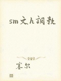 sm文h调教封面