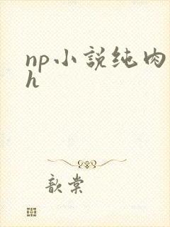np小说纯肉高h封面