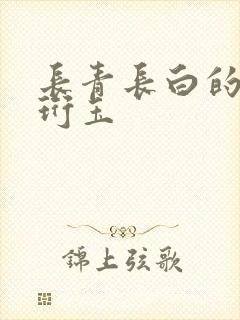 长青长白的小说珩玉封面