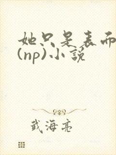 她只是表面清纯(np)小说封面