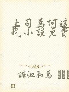 上司为何这样对我小说免费阅读