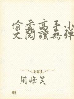 偷香高手小说全文阅读无弹窗