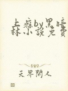 上瘾by黑暗森林小说免费