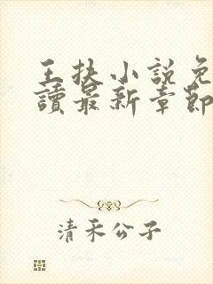 王扶小说免费阅读最新章节无弹窗