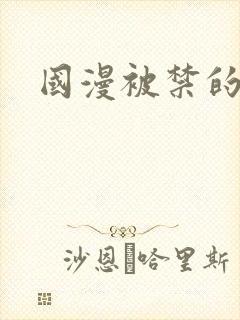 国漫被禁的动漫封面