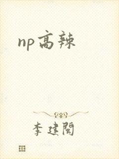 np高辣