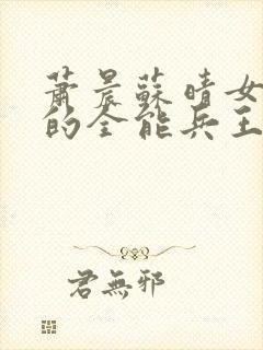 萧晨苏晴女总裁的全能兵王