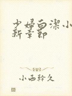 少妇白洁小说最新章节