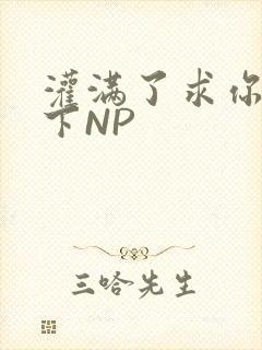 灌满了求你们停下NP