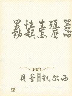 男性生殖器不会勃起怎么治疗