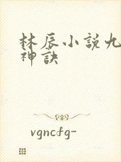 林辰小说九天斩神诀