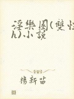 淫乐园(双性高h)小说