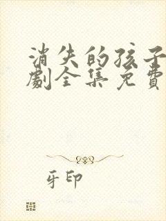 消失的孩子电视剧全集免费观看完整版