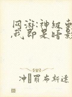 网游:神级刺客,我即是暗影封面