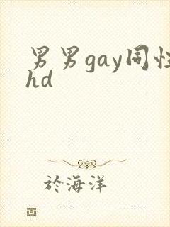 男男gay同性hd