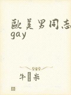 欧美男同志网站gay