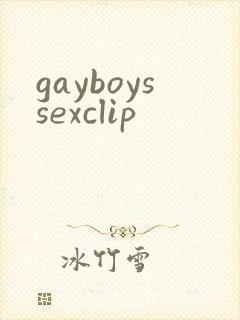 gayboyssexclip封面