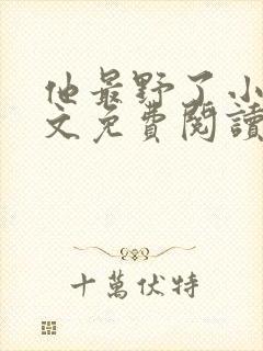 他最野了小说全文免费阅读无弹窗