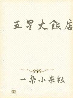 五星大饭店小说