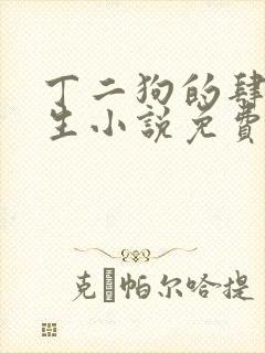 丁二狗的肆意人生小说免费