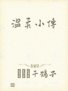 温柔小传
