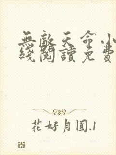 无敌天命小说在线阅读免费无弹窗