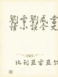 刘雪刘成当代爱情小说全文免费 笔趣