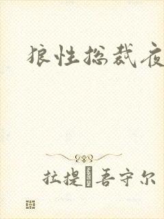 狼性总裁夜欢宠