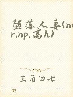 堕落人妻(ntr,np,高h)