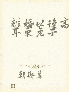 离婚以后高干 耳东兔子