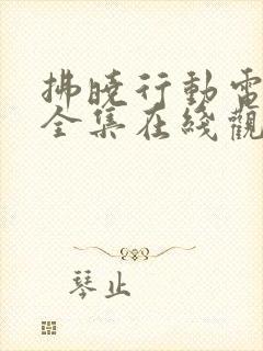 拂晓行动电视剧全集在线观看