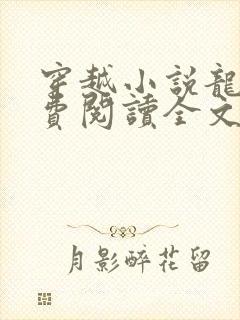 穿越小说龙辰免费阅读全文