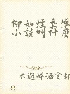 柳如烟季博达的小说叫什么