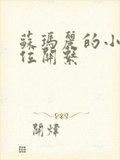 苏玛丽的小说错位关系