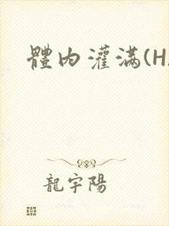 体内灌满(H)封面