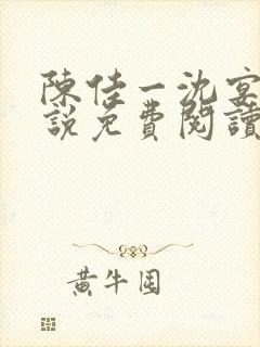 陈佳一沈宴西小说免费阅读封面