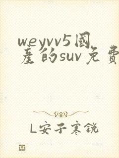weyvv5国产的suv免费