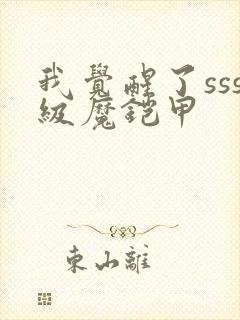 我觉醒了sss级魔铠甲