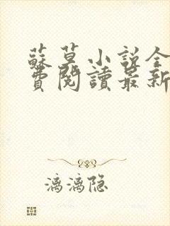 苏莫小说全文免费阅读最新章节封面