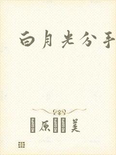 白月光分手日常