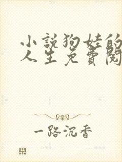 小说狗娃的风流人生免费阅读全文下