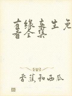 有缘来生免费观看全集封面