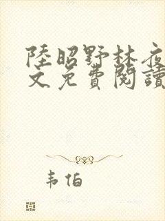 陆昭野林夜棠全文免费阅读最新章节封面