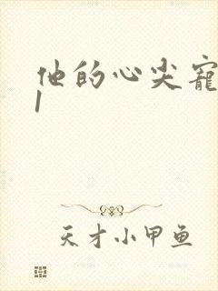 他的心尖宠1v1封面
