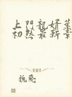 上门龙婿叶辰萧初然最新章节